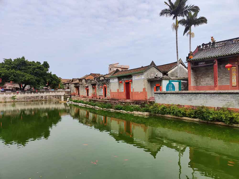 飞盘团建：在奔跑与协作中凝聚团队