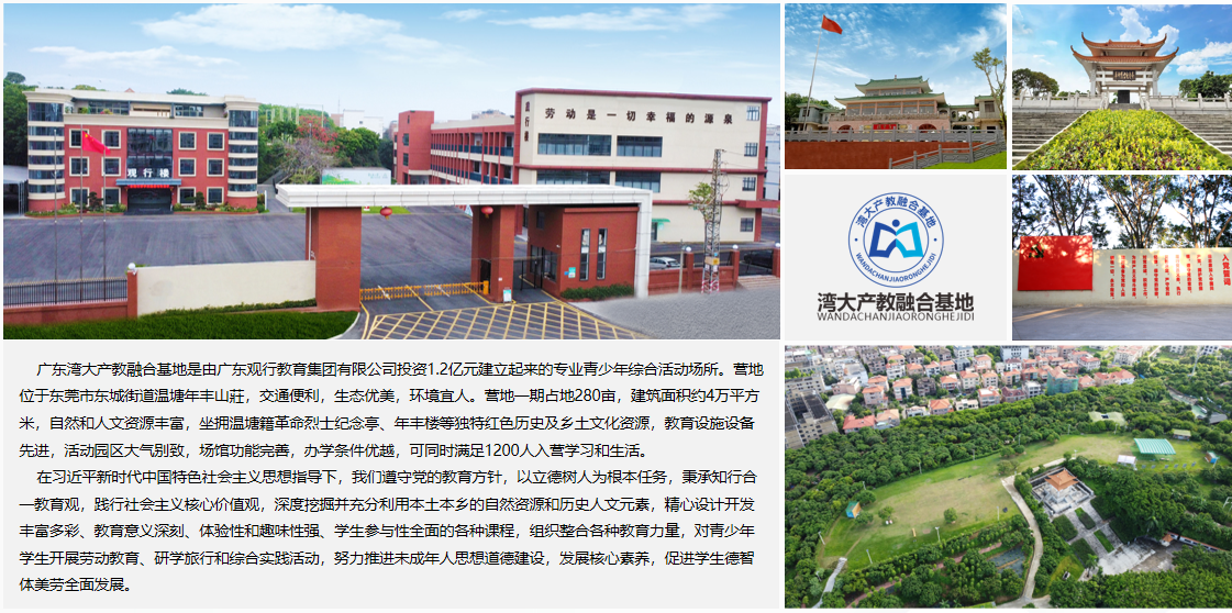 凝心聚力,快乐飞扬|团队飞盘团建活动纪实
